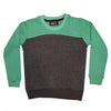 Boy's Green and Charcoal Sweat Shirt