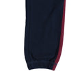 Blue Red Striped Basic Boys Trousers